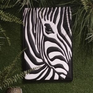 l'importance d'une rayure 🔴