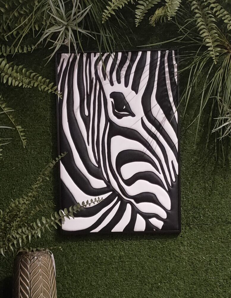 l'importance d'une rayure 🔴 l'importance d'une rayure 🔴