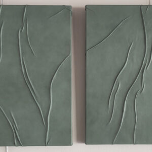 champ de plissures 🟢