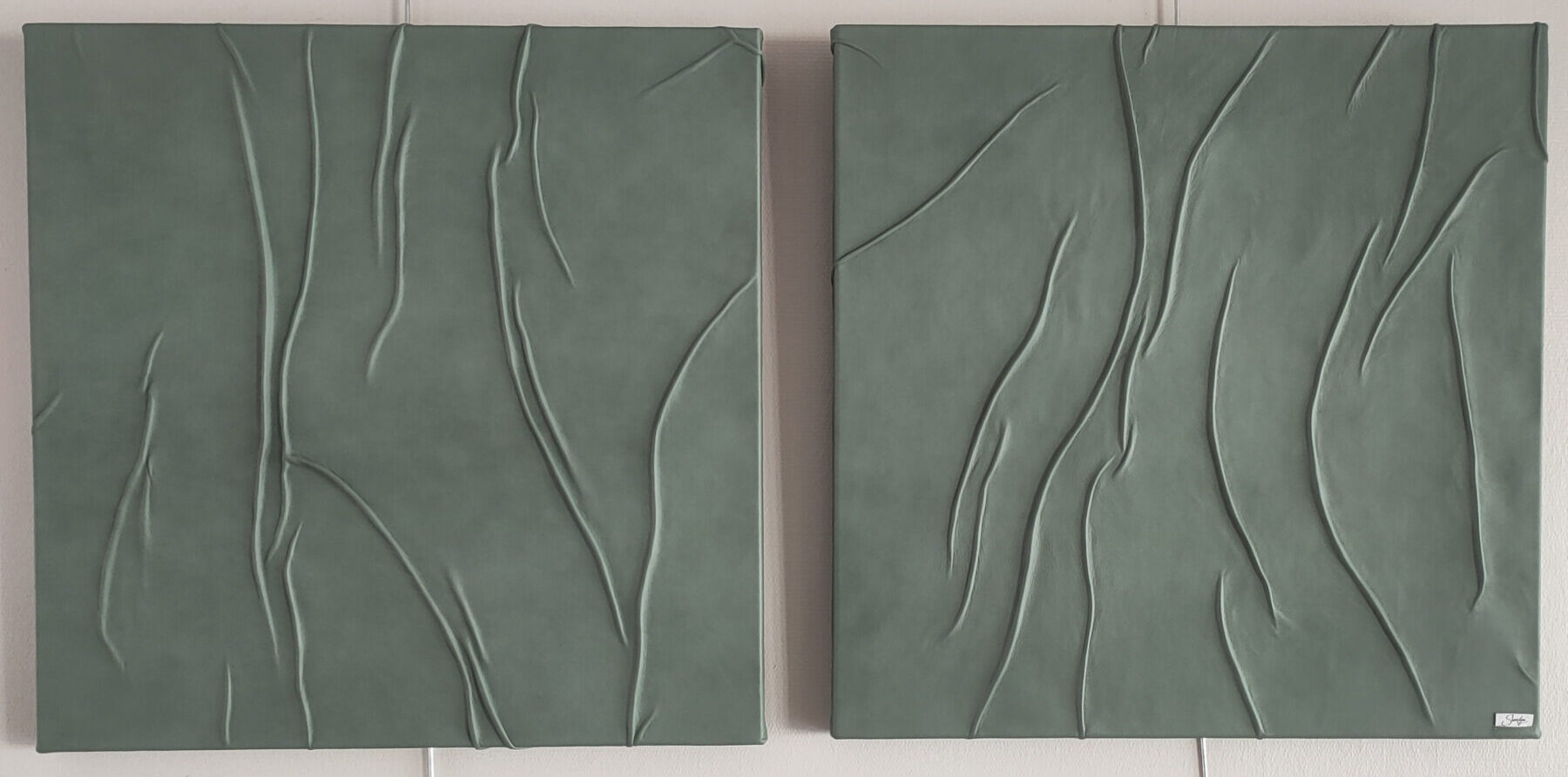 champ de plissures 🟢 champ de plissures 🟢