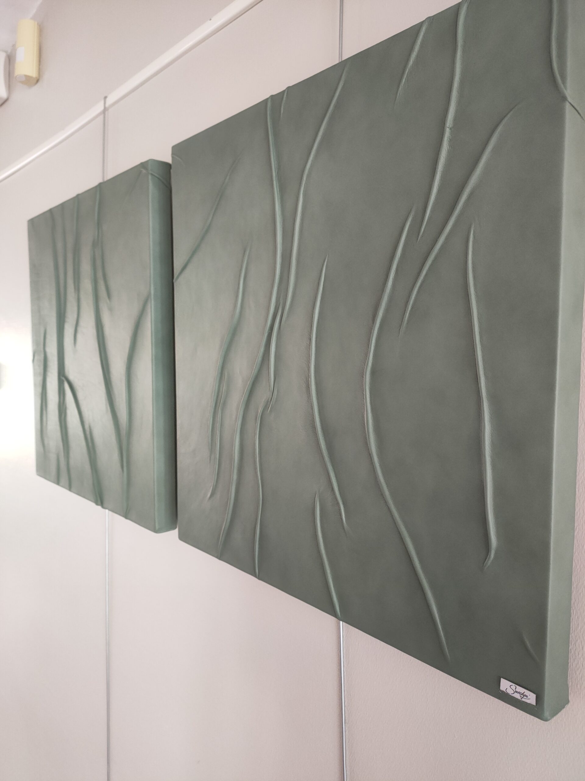 champ de plissures 🟢 champ de plissures 🟢