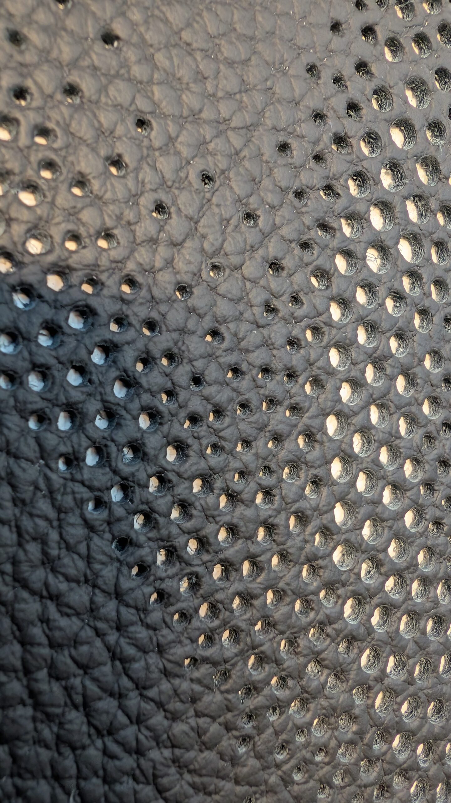 vigueur énigmatique vigueur énigmatique