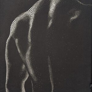 Accueil vigueur énigmatique